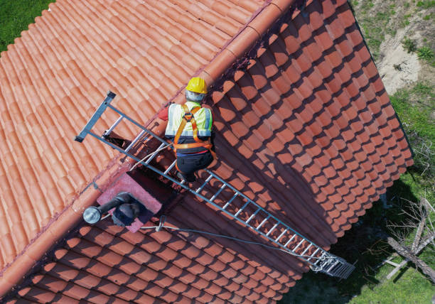 Best Roof Moss and Algae Removal  in Elyria, OH
