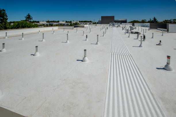 Best Hot Roofs  in Elyria, OH